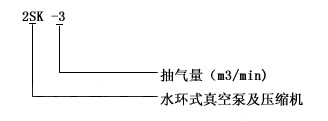 2SK type two-stage water ring vacuum pump type meaning